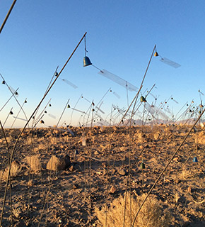 Christian Boltanski: Théâtre d’ombres,  Les Archives du Coeur and Animitas