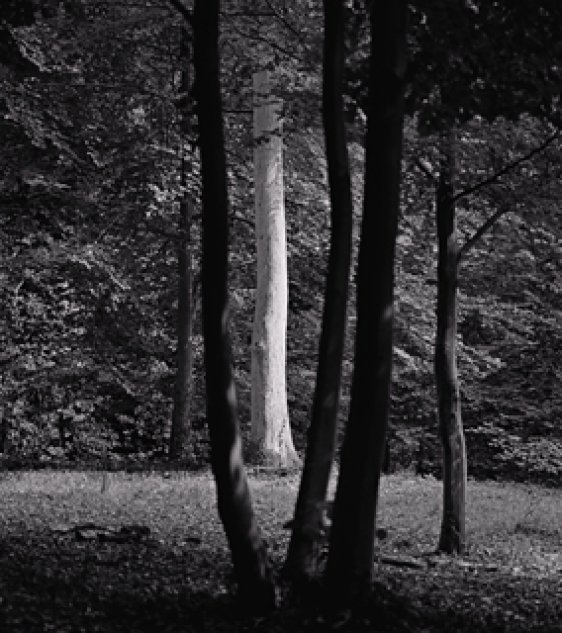 Robin Gillanders, Walk Nine, The Philosopher's Garden, 2004