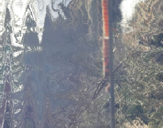 Distorted image of forest.