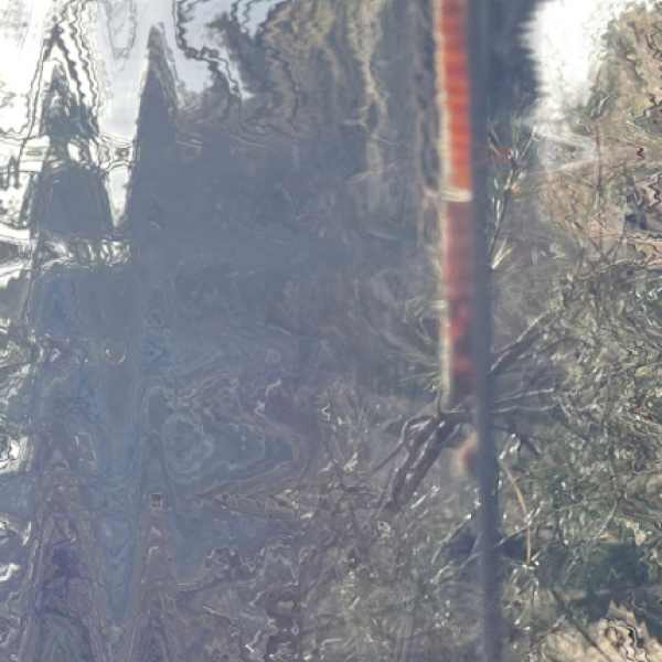 Distorted image of forest.