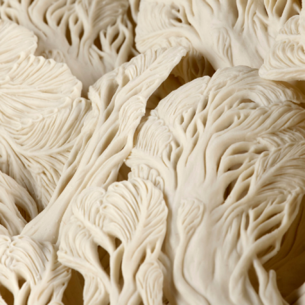 Detail of A Large Pine Tree Pool, Hitomi Hosono, 2019. Image © National Museums Scotland.