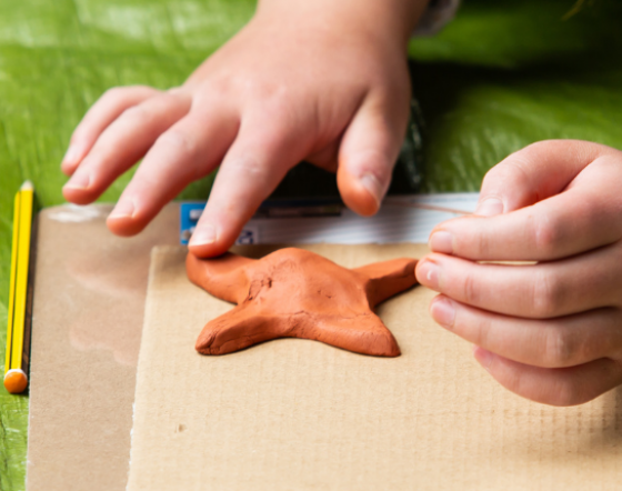 Young artist sculpts starfish from clay.