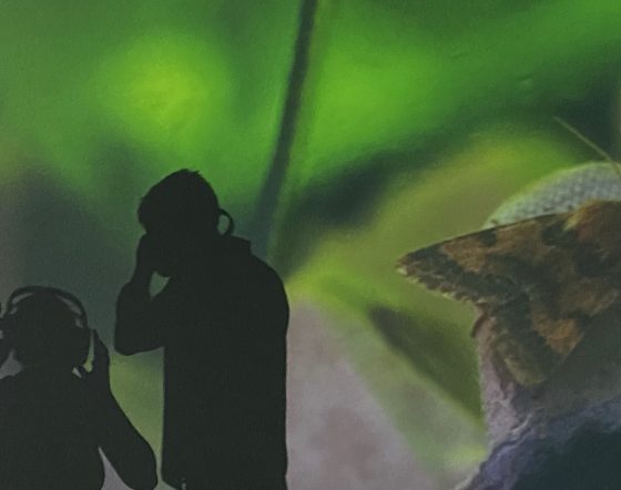 Person holds headphones with projection of butterfly in the background.
