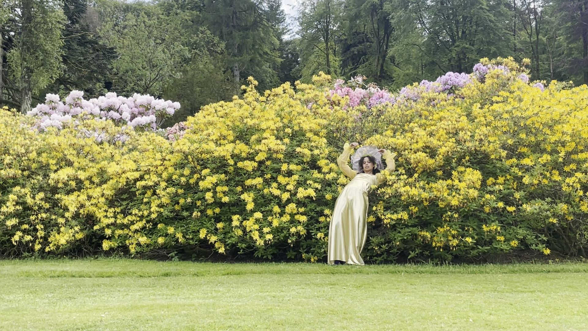 Person leans backwards against hedge in bloom in woodland landscape.